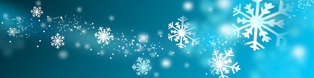 Happy Holidays From ViscoGen™!