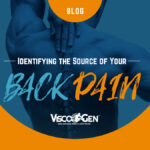 ViscoGen - Identifying the Source of Your Back Pain