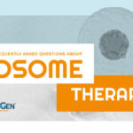 Top 5 Most Frequently Asked Questions About Exosome Therapy