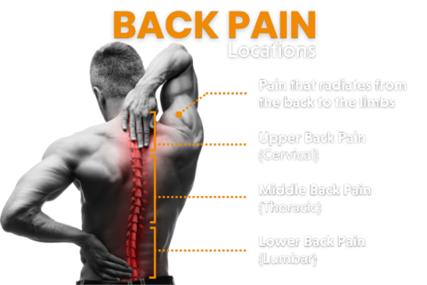 viscogen-backpain-locations-web-image__4__480 ViscoGen Back Pain Location